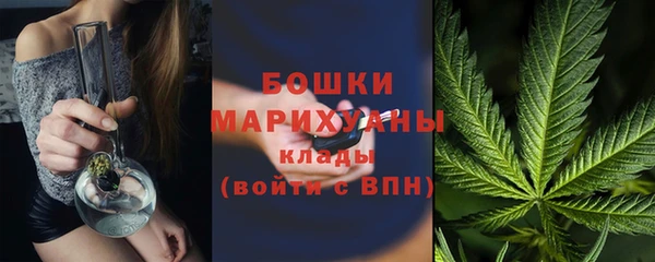 стаф Инта