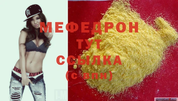стаф Инта