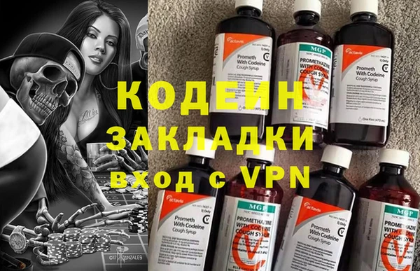 стаф Инта
