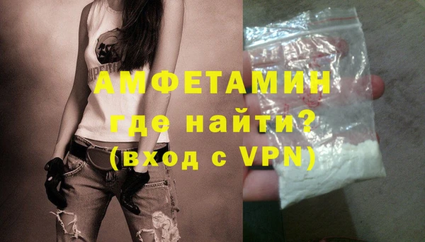 стаф Инта