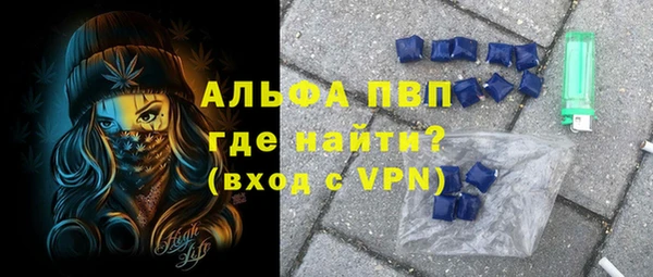 стаф Инта