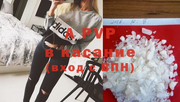 крисы Козельск