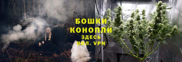 стаф Инта