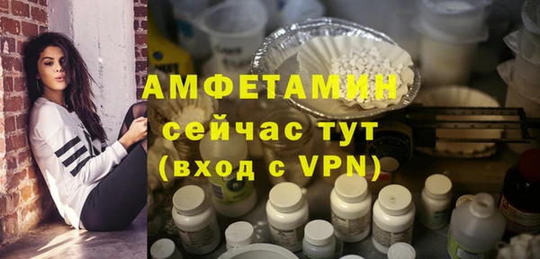стаф Инта
