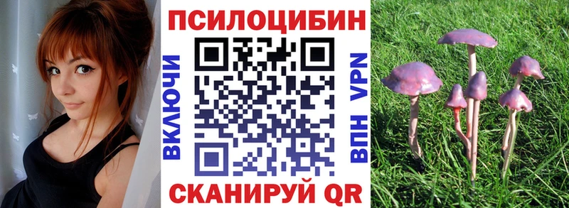 Псилоцибиновые грибы ЛСД  Тырныауз 